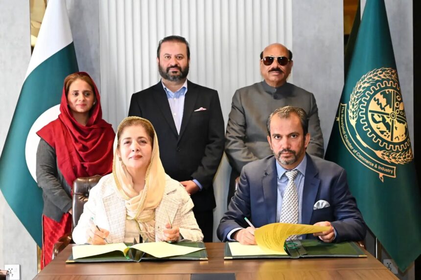 شراکت داری - معاشرتی خدمات کیلئے شراکت داری