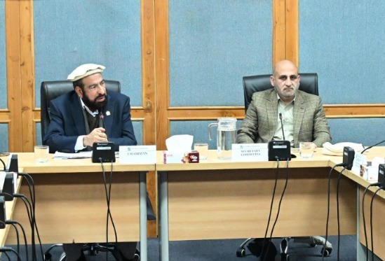 قومی ثقافت - سینیٹ کمیٹی نے قومی ثقافتی اداروں کا تفصیلی جائزہ لیا