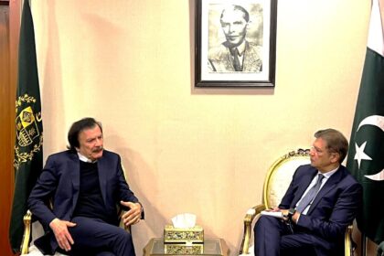 صنعتی نمو - صنعتی نمو کے لیے حکومتی عزم