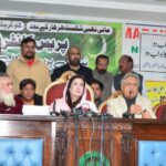 پاکستان ہاکی فیڈریشن - شہلا رضا کا مطالبہ ہاکی میں عبوری صدر نامزد کیا جائے