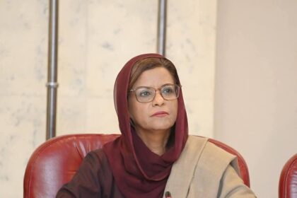 ذوالفقار علی گاھو - ذوالفقار علی گاھو کی وفات پر ڈاکٹر نفیسہ شاہ کا اظہار افسوس