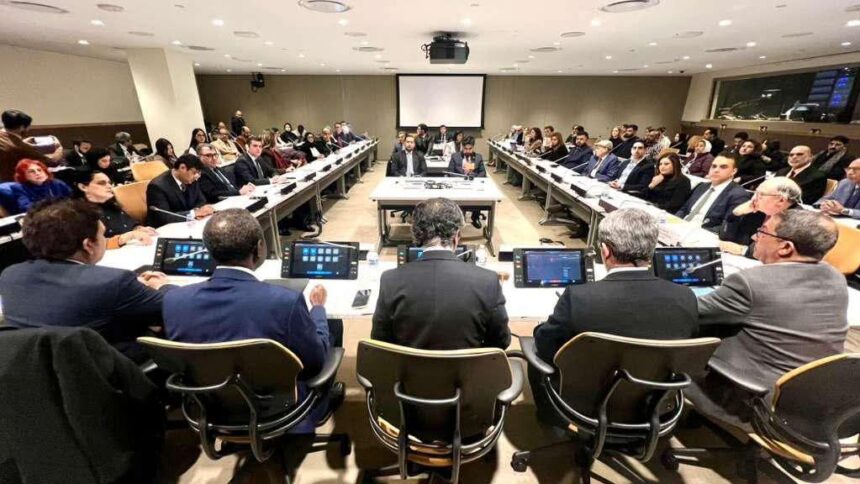 کشمیر یکجہتی - اقوامِ متحدہ میں کشمیر یکجہتی اور خودارادیت