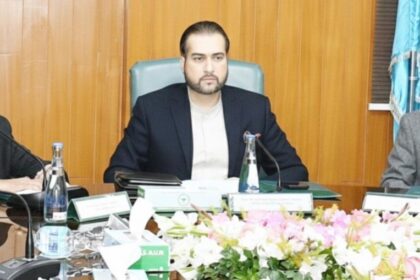 آبی کاشت - زرعی جدیدیت کے لیے چھت پر آبی کاشت منصوبہ