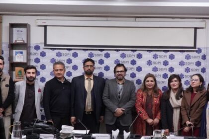 ڈیجیٹل تشدد - خواتین کے خلاف ڈیجیٹل تشدد کے لیے جامع بحران مراکز درکار