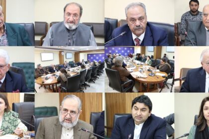 افغانستان صورتحال - افغانستان کی موجودہ صورت حال اور خطے پر اثرات