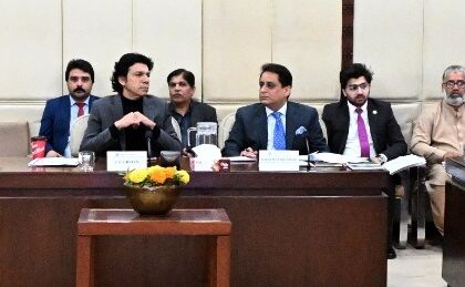 بحری امور کمیٹی - بحری شعبے میں زمین کی غیرقانونی تقسیم ختم کرنے کی ہدایت