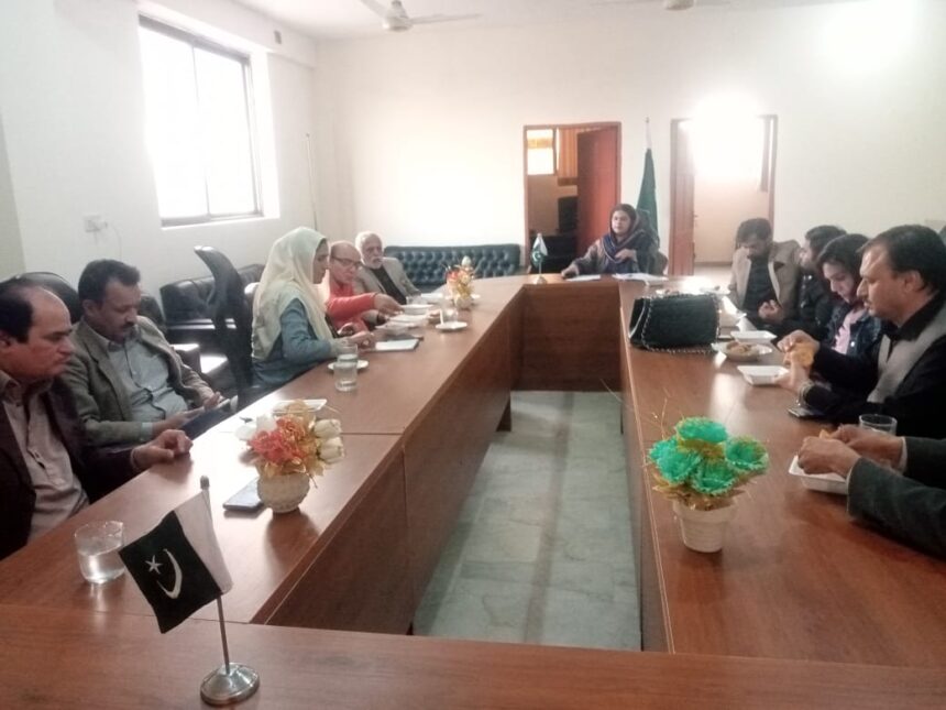 یکجہتی کشمیر - رائزنگ پاکستان کا یکجہتی کشمیر میں اظہار