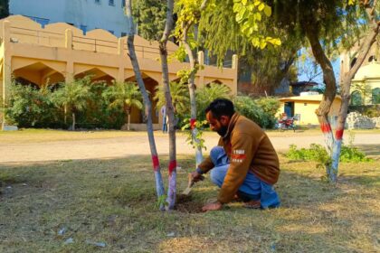 لیاقت باغ - لیاقت باغ اور ملیہ پارک میں خوبصورتی کے اقدامات