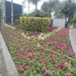 عید سجاوٹ - راولپنڈی میں عید کی خصوصی سجاوٹ مکمل