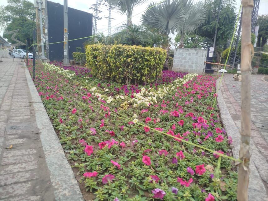 عید سجاوٹ - راولپنڈی میں عید کی خصوصی سجاوٹ مکمل