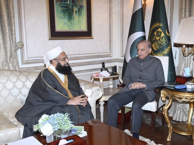 سفارتی کاوشیں - پاکستان کی سفارتی کاوشیں سراہ لی گئیں