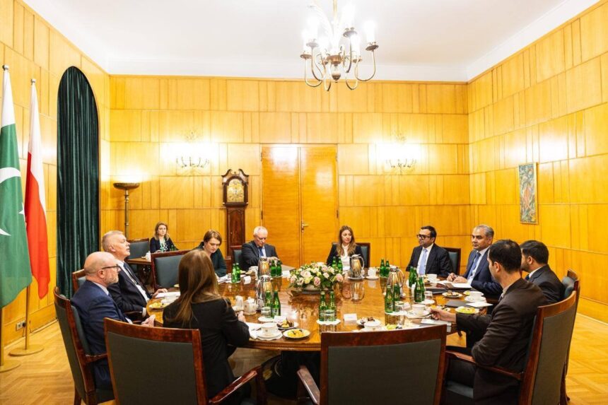 وزیر نقوی - وزیر نقوی کا پولینڈ میں چانسلری دورہ