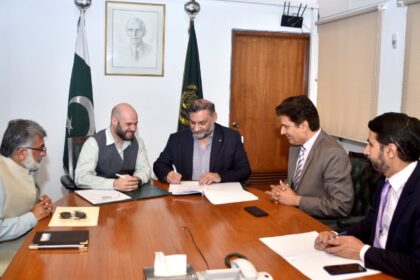 زیتون کی اقسام - زیتون کے لیے قومی شراکت داری کا آغاز