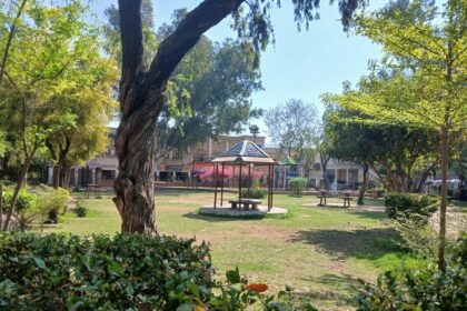 لیاقت باغ - لیاقت باغ کی خوبصورتی میں ہارٹیکلچر ایجنسی کے اقدامات