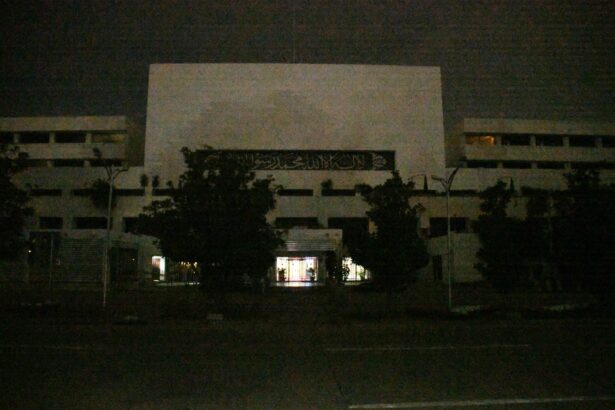 ارتھ آور - پارلیمنٹ ہاؤس میں ارتھ آور کے تحت روشنیوں کی بندش