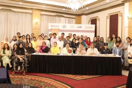 سندھ گھریلو تشدد - سندھ میں گھریلو تشدد کے نفاذ میں خامیاں