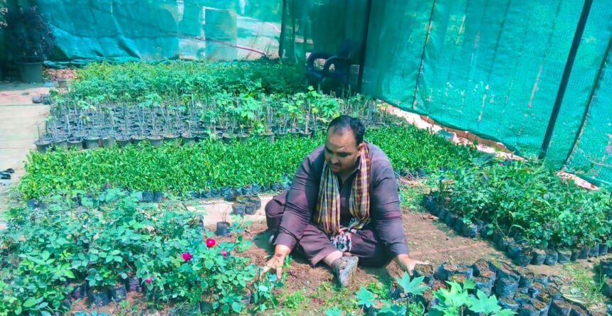 پودوں کی نگہداشت - راولپنڈی کی نرسریز میں پودوں کی بھرپور نگہداشت