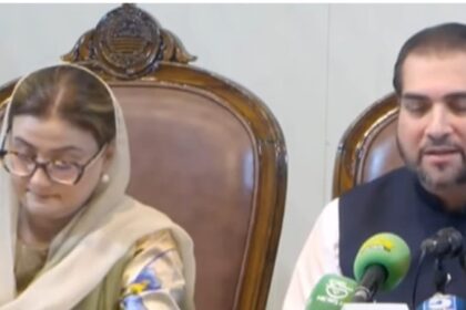 زرعی امداد - پنجاب حکومت نے زرعی مدد کا بڑا پیکیج جاری کیا