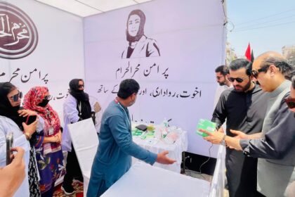 عاشورا انتظامات - عاشورا پر زائرین کی سہولت اور امن کے لیے ادارے متحرک