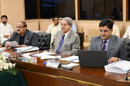 مساوی ریلیف - ایئرلائنز کے لیے مساوی ریلیف پر قومی اسمبلی کمیٹی کا مؤقف