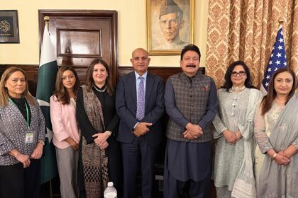 وظیفہ پروگرام - برائلیئنس فاؤنڈیشن کے وظیفہ پروگرام پر مشاورت