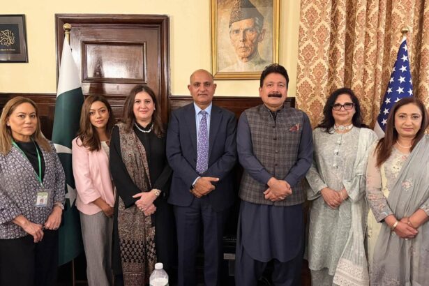 وظیفہ پروگرام - برائلیئنس فاؤنڈیشن کے وظیفہ پروگرام پر مشاورت