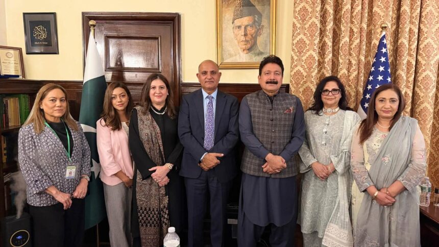 وظیفہ پروگرام - برائلیئنس فاؤنڈیشن کے وظیفہ پروگرام پر مشاورت