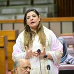 کراچی حصہ - سبھین غورے نے کراچی کے لیے بڑا ترقیاتی حصہ مانگا