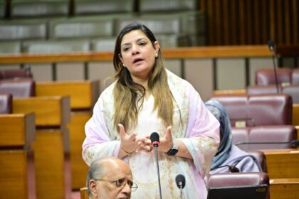کراچی حصہ - سبھین غورے نے کراچی کے لیے بڑا ترقیاتی حصہ مانگا