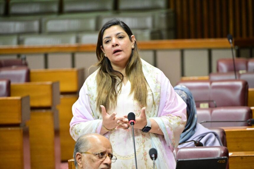 کراچی حصہ - سبھین غورے نے کراچی کے لیے بڑا ترقیاتی حصہ مانگا