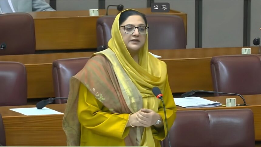 عوام دشمن بجٹ - ڈاکٹر شازیہ نے بجٹ عوام دشمن قرار دے دیا
