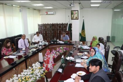 آئی ایچ آر اے میں کلینیکل گورننس و رجسٹریشن کمیٹی کا اجلاس