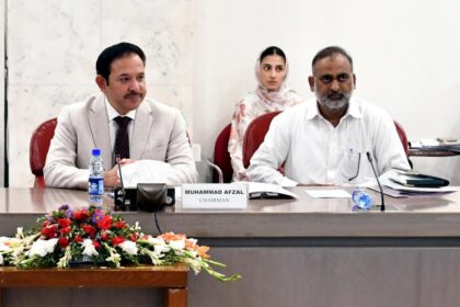 قواعد و ضوابط کمیٹی - قواعد و ضوابط کمیٹی نے ترامیم جانچنے کے لیے ذیلی کمیٹی بنا دی
