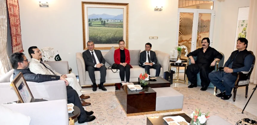 چیئرمین سینیٹ سید یوسف رضا گیلانی پارلیمنٹ ہاؤس میں آذربائیجان کے سفیر خضر فرہادوف سے ملاقات کر رہے ہیں
