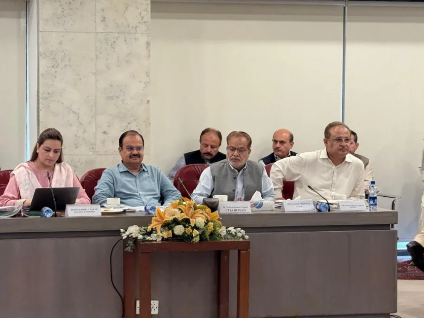پارلیمنٹ ہاؤس میں قومی اسمبلی قائمہ کمیٹی کے اجلاس کا منظر
