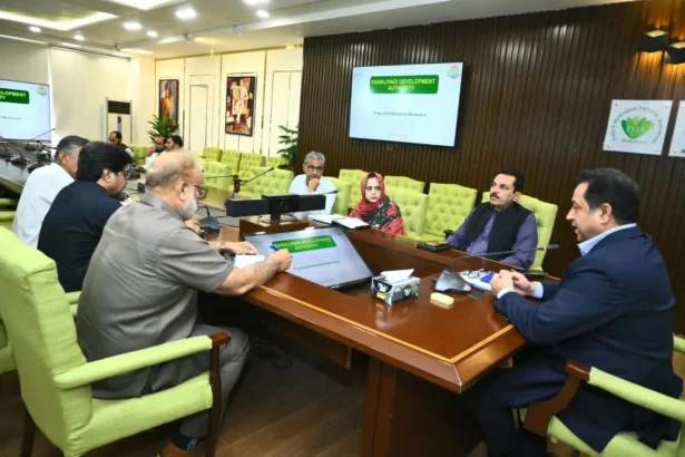 آر ڈی اے کانفرنس روم میں انفورسمنٹ ڈائریکٹوریٹ کے ٹی او آرز سے متعلق اجلاس