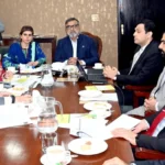 پارلیمنٹ ہاؤس میں سینیٹ کمیٹی کے اجلاس کا منظر