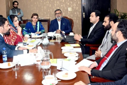 پارلیمنٹ ہاؤس میں سینیٹ کمیٹی کے اجلاس کا منظر