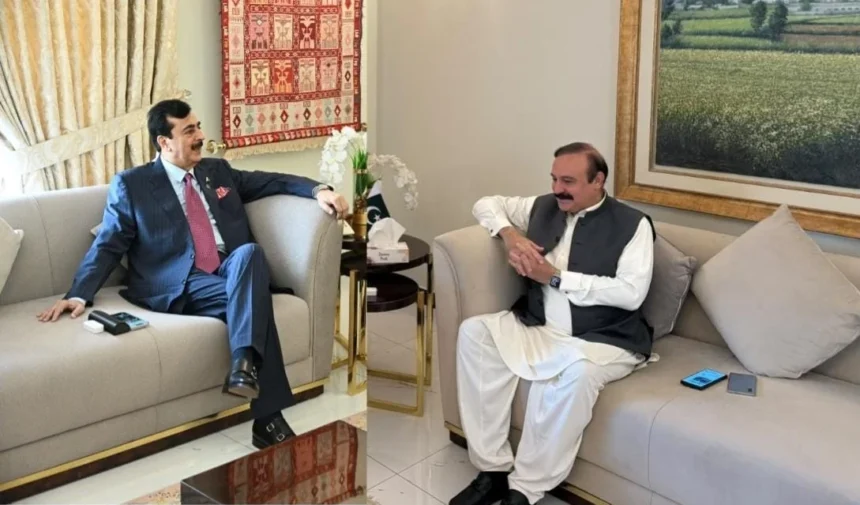 چیئرمین سینیٹ سید یوسف رضا گیلانی سے طارق فضل چوہدری کی ملاقات