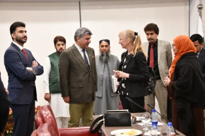 پارلیمنٹ ہاؤس اسلام آباد میں پاکستان جرمنی پارلیمانی فرینڈشپ گروپ کی جرمن سفیر سے ملاقات